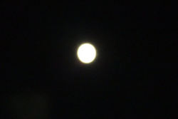 2011121003.jpg