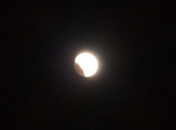 2011121004.jpg