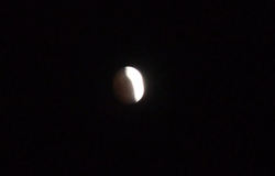 2011121005.jpg
