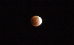 2011121006.jpg