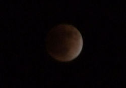 2011121007.jpg