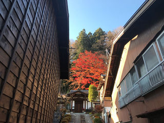 2017112108.JPG